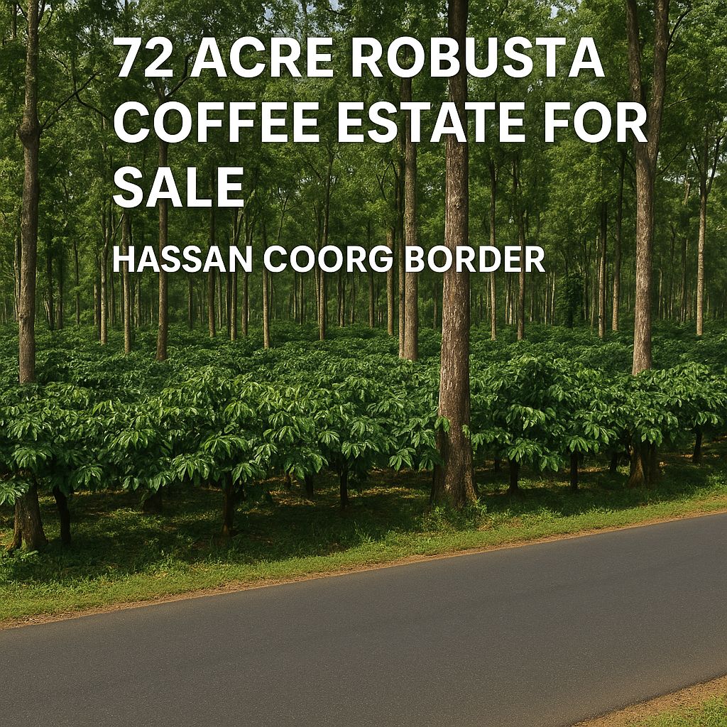 🆔 Property ID – 5184  ☕🌳 72 Acre Robusta Coffee Estate for Sale – Hassan Coorg border